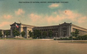 Vintage Postcard 1930's Field Museum of Natural History Burnham Park Chicago ILL