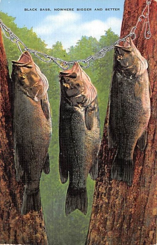 Black Bass Fishing 1985 