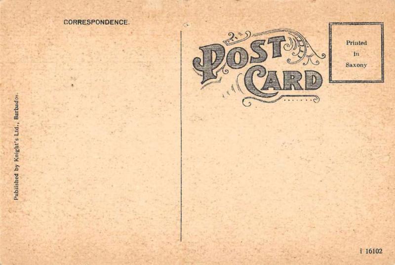 blank vintage postcards