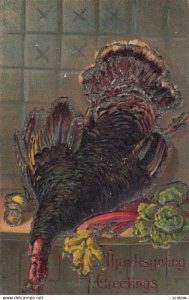 1900-1910's; Thanksgiving Greetings, Dead Turkey