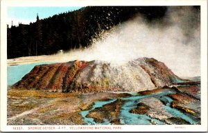 Yosemite National Park Sponge Geyser