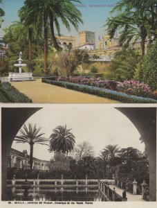 Sevilla Jardines Del Alcazar Spanish Real Photo 2x Old Postcard