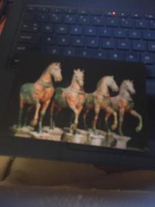 Vtg Postcard: Venezia, Horses of St Marcus's Basilica