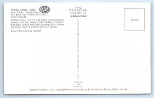 BANFF, ALBERTA Canada ~ Roadside SPRUCE GROVE MOTEL  c1960s Postcard