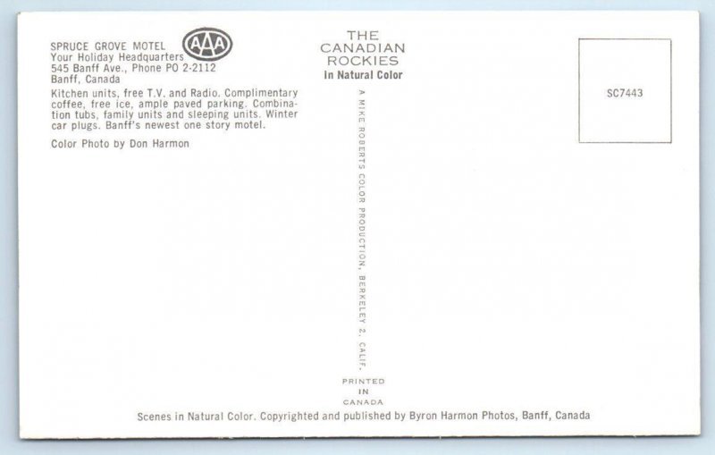 BANFF, ALBERTA Canada ~ Roadside SPRUCE GROVE MOTEL  c1960s Postcard