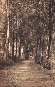 Newport Rhode Island~Den Walk in Forest~c1910 Sepia Postcard