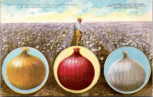 Postcard advert IL Rockford -Buckbee's  Full of Life Onion seed