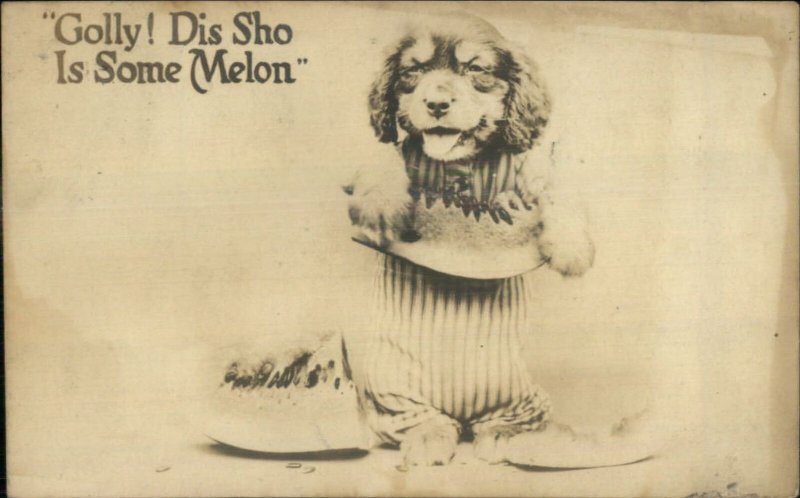 Dressed Puppy Dog Eating Watermelon c1910 Real Photo Postcard