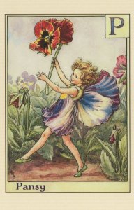 The Pansy Fairy From Old Flower Fairies Book Stunning Postcard