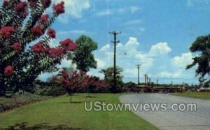 Street scene - Shreveport, Louisiana LA