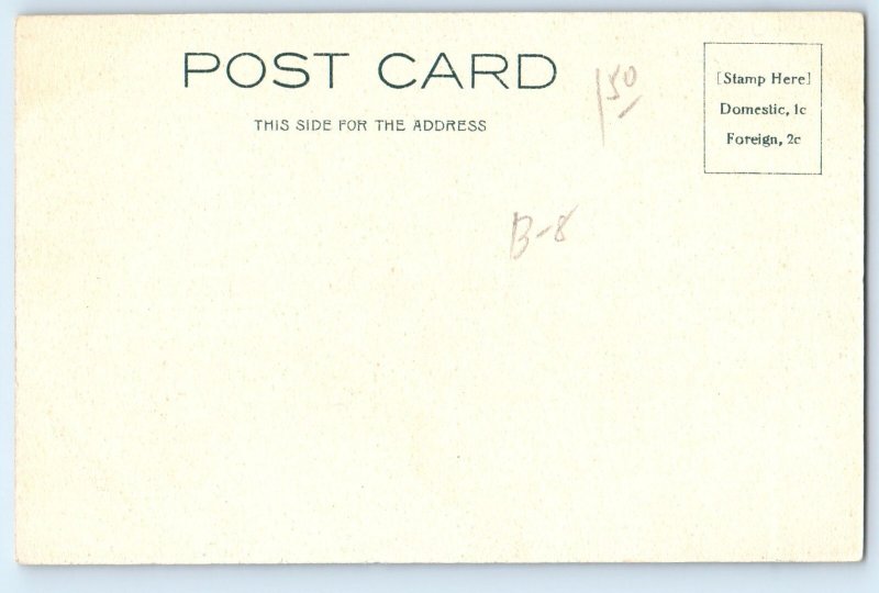 c1905 Crown Point New York NY Vintage Postcard Put's Oak View Trees Background