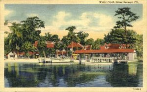 Water Front - Silver Springs, Florida FL