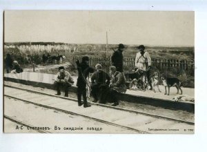 215075 After HUNT Hunter POINTER waiting Train by STEPANOV Old