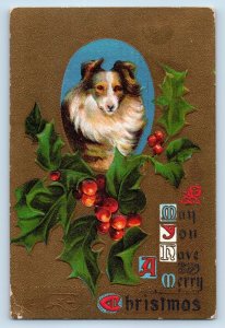c1910's Christmas Holly Berries Border Collie Dog Embossed Antique Postcard