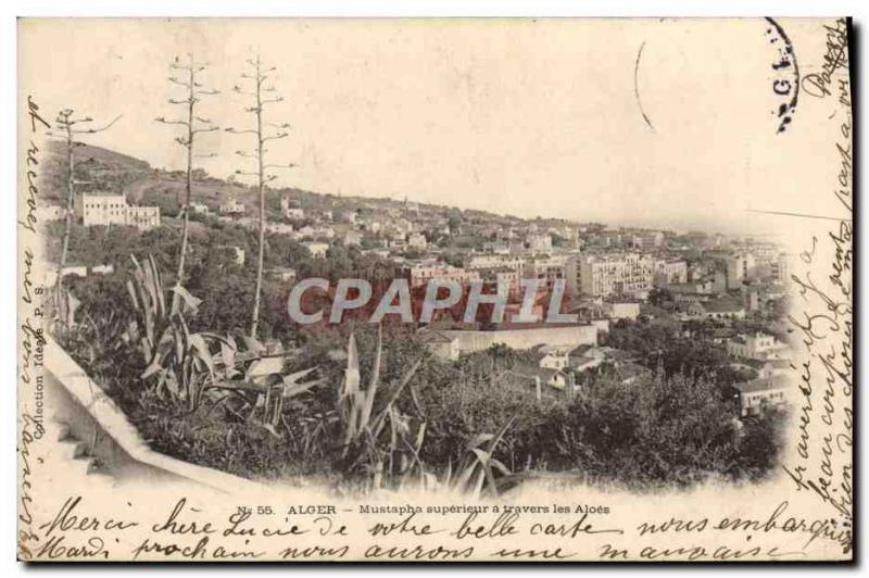 Old Postcard Alger Mustapha Superieur Travers has the Aloes