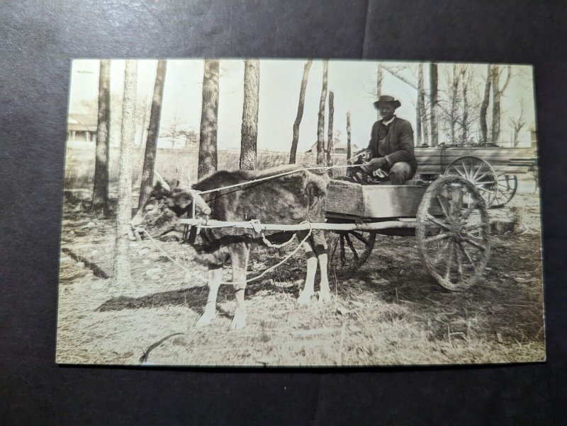 Mint USA RPPC Postcard Black Man Riding Bull Wagon Eddys Studio Southern Pine NC