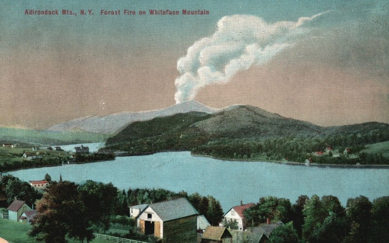 Vintage Postcard 1910's Forest Fire on Whiteface Mountain Adirondack Mts. N. Y.