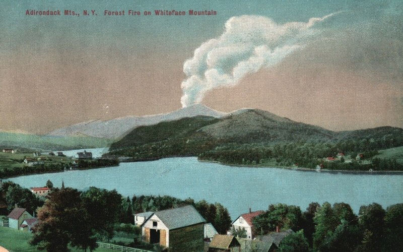 Forest Fire on Whiteface Mountain Adirondack Mts. New  York Vintage Postcard