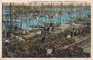 Florida Tarpon Springs Sponges and Spong Fleet In Harbor Curteich