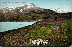 Scenic View On the Trail to Unalaska AK Vintage Postcard O45