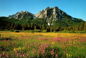 Idaho Sawtooth Mountain Range