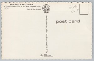 State View~New England~Rock Wall & Fall Foliage~Vintage Postcard