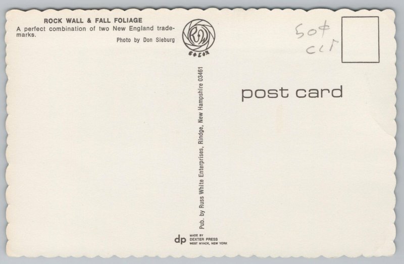State View~New England~Rock Wall & Fall Foliage~Vintage Postcard