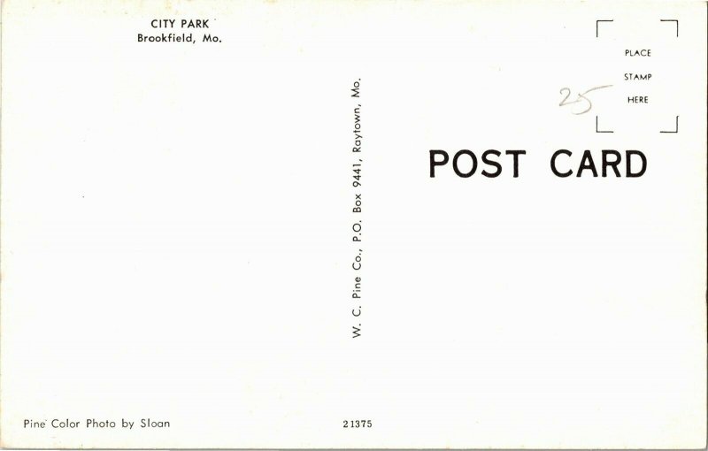 View of the City Park, Brookfield MO Vintage Postcard E80