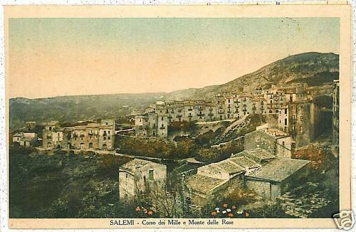 04212  CARTOLINA d'Epoca:  TRAPANI: SALEMI