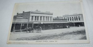 Chesnut Street Farina Illinois Postcard Pub. by E. F. Randolph
