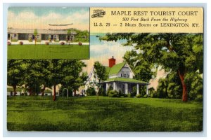 1942 Maple Rest Tourist Court Lexington Kentucky KY Vintage Posted Postcard 