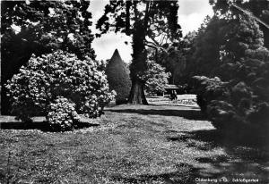 BG21553 oldenburg i o schlossgarten   germany CPSM 14.5x9cm