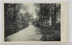 Carlisle Pa Walk Up to Mt. Holly Lake Early udb Postcard R16