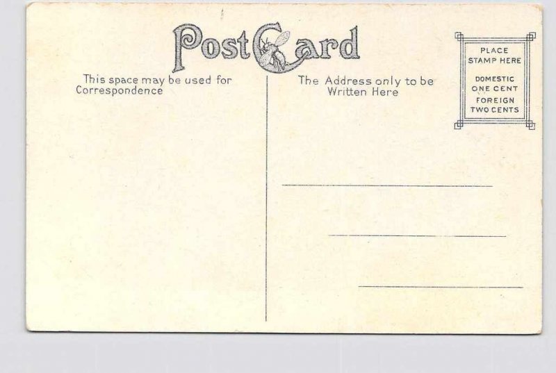 PPC POSTCARD ARKANSAS HOT SPRINGS MAURICE SPRINGS DRINKING HOT WATER LITHO