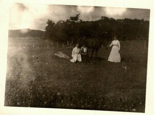 Vintage 1910's RPPC Postcard - Farmers in their Field with Horse