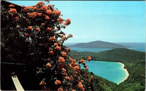 Postcard PANORAMIC SCENE St. Thomas US Virgin Islands VI AN8030