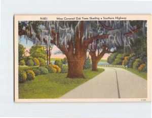 Postcard Moss Covered Oak Trees Shading a Southern Highway, Dixieland