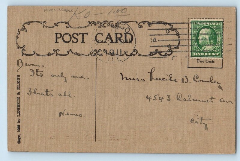 Chicago Illinois IL Postcard Friendship Message Arts Crafts 1911 Antique Posted