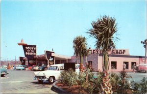 Postcard SC Hamer - 1950s Pedro's South of the Border cars palm tree