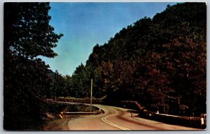 Vtg New York NY Catskill Mountains Rip Van Winkle Trail Scenic Road Postcard
