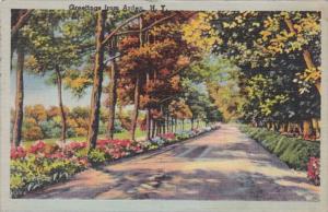 New York Greetings From Arden