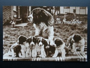 Dog Portrait ST. BERNARD & PUPS The Proud Father - Old RP Postcard by W.H.L.