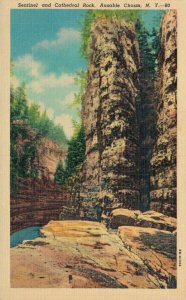 USA Sentinel and Cathedral Rock Ausable Chasm New York Linen Postcard 03.53