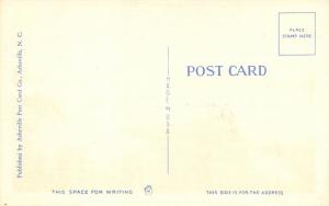Columbia South Carolina 1930-40 Postcard Jefferson Davis Highway Bridge Congaree