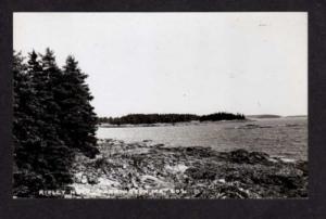 ME Ripley Neck HARRINGTON MAINE Real Photo RPPC Postcard