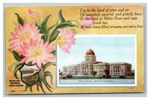 Vintage 1910's Postcard State Capitol Building Flower and Seal Helena Montana