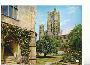 Cambridgeshire Postcard - Ely Cathedral - West Tower from Old Deanery Ref 17747A