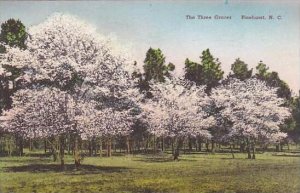 North Carolina Pinehurst The Three Graces Albertype