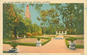 Alcazar Gardens Balboa Park San Diego California White Border Postcard