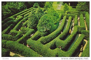 Aerial view,  The Governor's Palace Maze,  Williamsburg,  Virginia,   40-60s